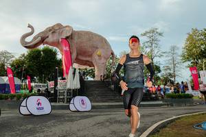 BIB: 
                            <button type="button" onclick="openModal(26529205)" class="btn btn-primary btn-sm float-right btn-popup" data-toggle="modal" data-target=".modal-high-quality">
                        <i class="fas fa-shopping-cart"></i> Add to Cart
                    </button>
                                            <button type="button" onclick="isThisMe(26529205, true)" class="btn btn-success btn-sm float-right btn-popup btn-isme hidden" data-toggle="tooltip" data-placement="bottom" title="นี่คือรูปของคุณใช่ไหม คลิกที่นี่เพื่อเอาเข้าอัลบั้ม">
                        <i class="fas fa-plus"></i> Add to album
                    </button>
                    <button type="button" onclick="isThisMe(26529205, false)" class="btn btn-warning btn-sm float-right btn-popup btn-isnotme hidden">
                        <i class="fas fa-ban"></i> Remove from album
                    </button>